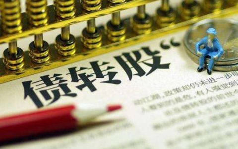 债转股的法律后果、程序及股东权利分析