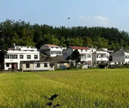 出嫁女是否享有原宅基地财产份额？