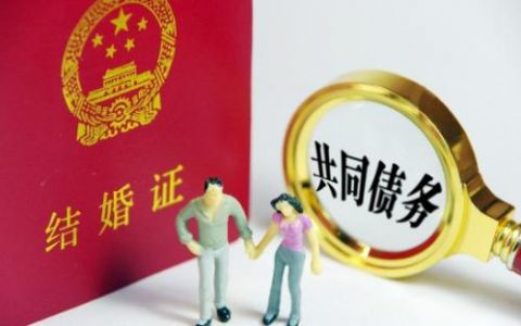 关于审理涉及夫妻债务纠纷案件适用法律有关问题的解释及注释