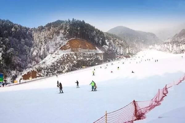 泽大滑雪招募令！北京冬奥在即，来一场滑雪初体验吧