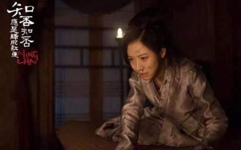 《知否知否》，应是法律知识在手