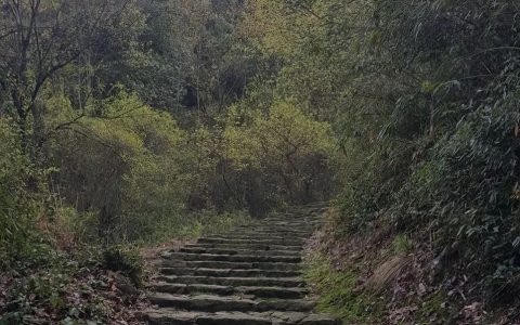 会稽客的孤独步行记（陶宴岭篇）