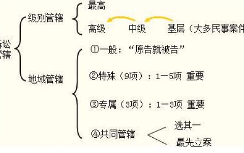 关于审理民事级别管辖异议案件若干问题的规定（2009）