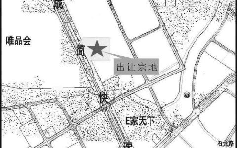 建设用地使用权出让合同纠纷的裁判规则