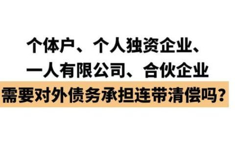 一人有限责任公司股东该如何在纠纷中独善其身