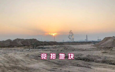 《土地出让须知》明确载明现状交付的竞拍人事后能否以非净地为由主张出让方承担责任？