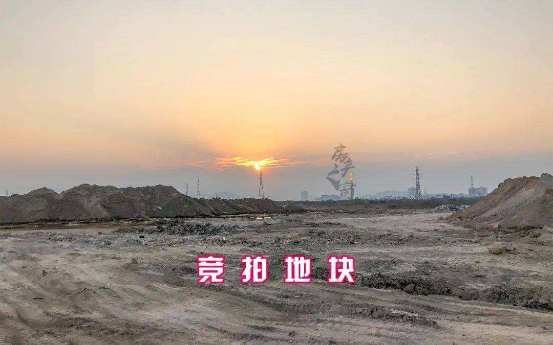 《土地出让须知》明确载明现状交付的竞拍人事后能否以非净地为由主张出让方承担责任？