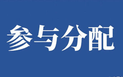 参与分配申请书范本
